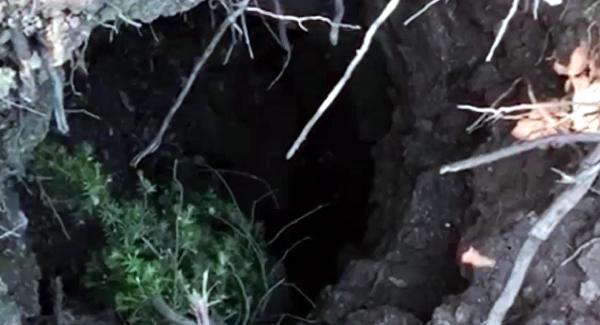 Uzman Çavuşu Şehit Eden 2 PKK’lı Terörist Öldürüldü