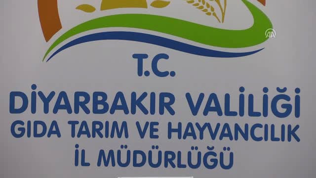 Silvan Projesi ile En Az 300 Bin Kişi İş, AŞ Sahibi Olacak’