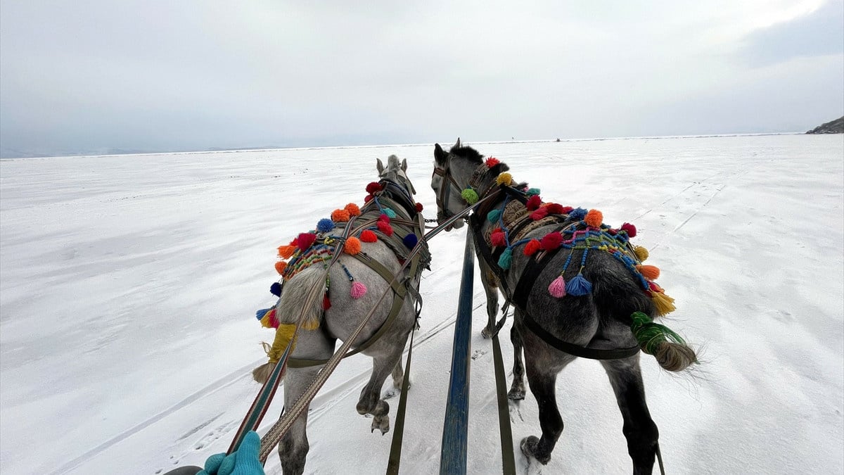 Çıldır Gölü’nün atlı kızakçıları, turistleri dörtnala gezdiriyor