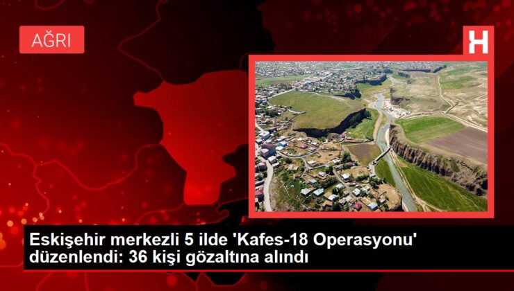 Eskişehir merkezli 5 vilayette ‘Kafes-18 Operasyonu’ düzenlendi: 36 kişi gözaltına alındı