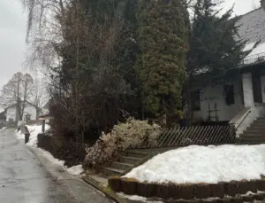 Ölen annesinin cesedini maaş için sakladı