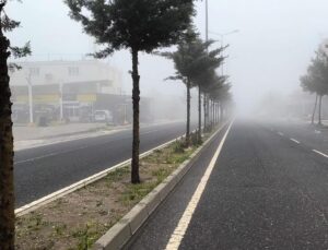 Diyarbakır’da sis tesirli oldu