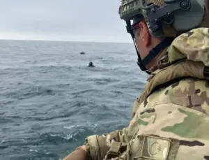 İğneada’da operasyon! SAS timleri imha etti!