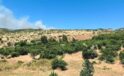 Dicle’de ağaçlık alanda yangın