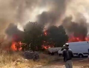 Diyarbakır’da korkutan yangın: Yüzlerce dönüm alan alevlere teslim oldu