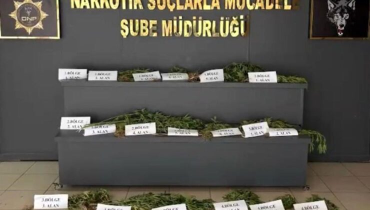 UNESCO Dünya Mirası Listesi’ndeki Hevsel Bahçeleri’nde uyuşturucu ele geçirildi