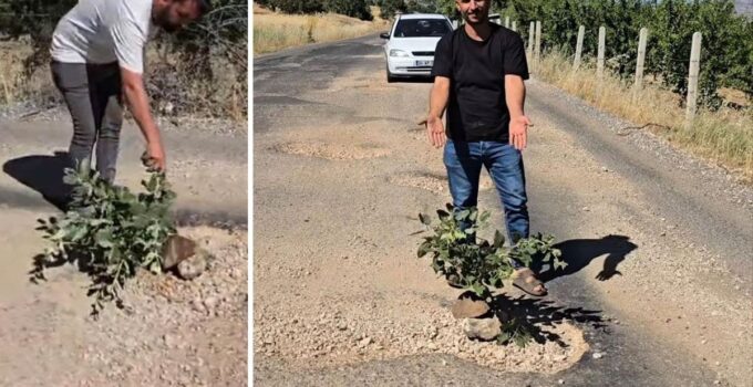 Çermik’te oluşan çukurlara ağaç dikerek yolların yapılmamasını protesto ettiler