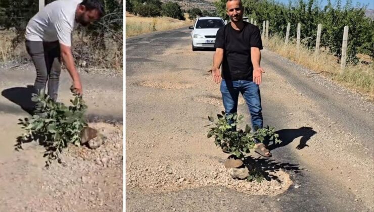 Çermik’te oluşan çukurlara ağaç dikerek yolların yapılmamasını protesto ettiler