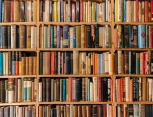 Panama Projesi: Yapay zeka için milyonlarca kitap nasıl yok edildi?