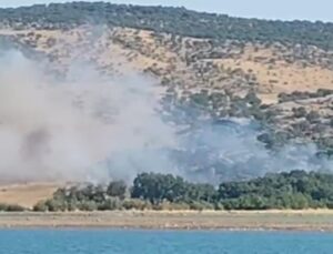 Diyarbakır’da ağaçlık alanda yangın